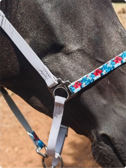 Halter – Biothane Signature
