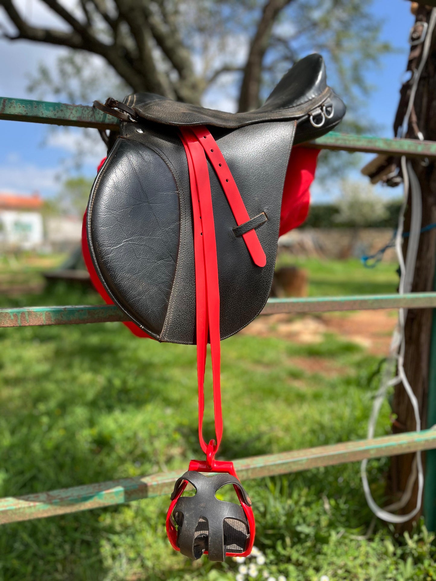 Stirrup Straps