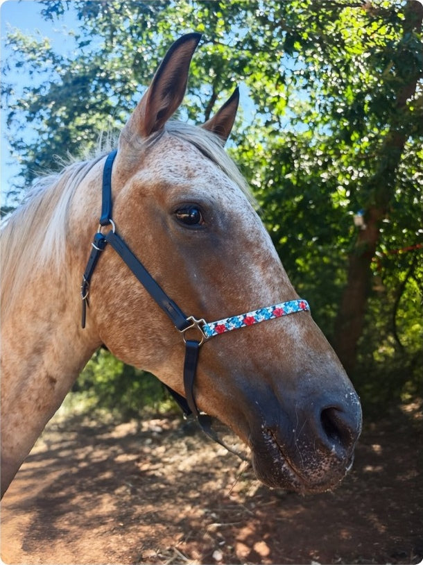 Halter – Biothane Signature