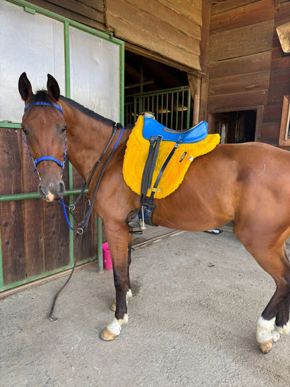 Stirrup Straps