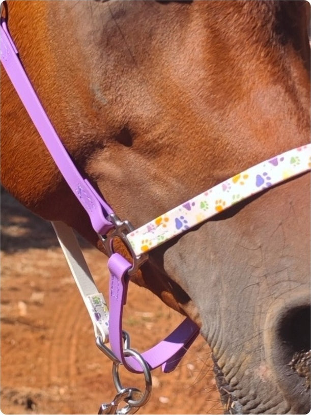 Halter – Biothane Signature