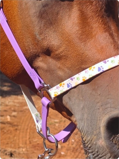 Halter – Biothane Signature