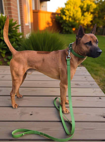 Biothane Dog Collar & Leash